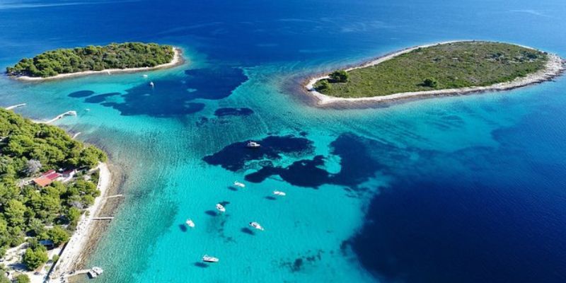 Rancraft RS Aristo Charter